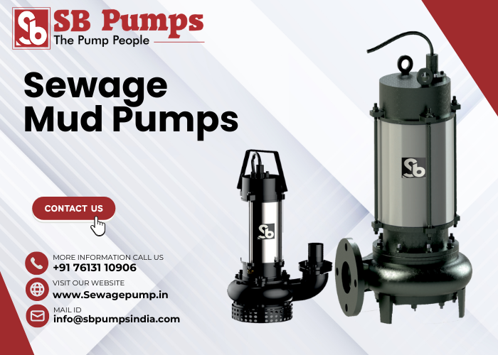 Sewage Mud Pumps